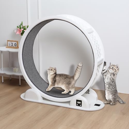 Saterkali Katzenlaufrad für Indoor-Katzen, Katzenlaufrad mit Theken-Display, Katzenlaufband, Kratzen mit Verriegelungsmechanismus, Laufrad, Geschenk für Kätzchen, Gewichtsverlust und Gesundheit von Saterkali