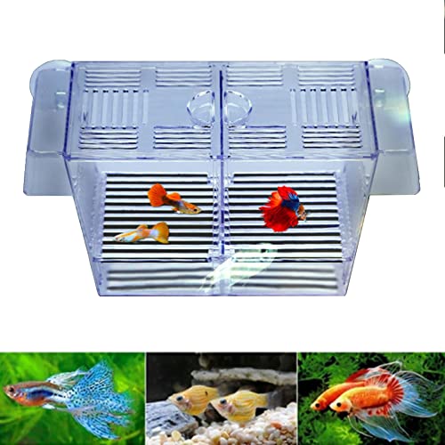 Saturey Fischzuchtkasten, Acryl-Fisch-Isolationsbox mit 2 Saugnäpfen, Brutkasten, Schlüpfbrüter, für Babyfische, Garnelen, Clownfisch, Guppy (Größe: 12,6 x 7 cm) von Saturey