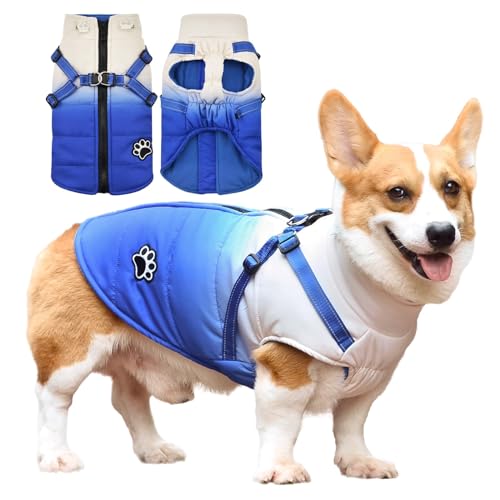 Savlot Hundejacken für den Winter Wasserdichter Hundemantel Winter Warme Jacke Welpen Winter Warme Jacke Kleines Hundejacke Outfit für kleine mittel Hunde(M, Blau) von Savlot