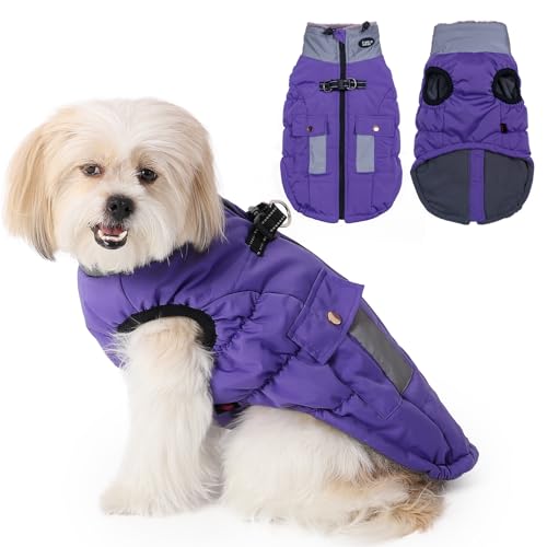 Savlot Wasserdicht Hundemantel, Kaltes Wetter Winter Warme Jacke für Kleine Mittlere Große Hunde, Hundepullover mit Fleece Gefütterte Reflektierend Welpen Winterweste, Haustierbekleidung(XXL, Lila) von Savlot