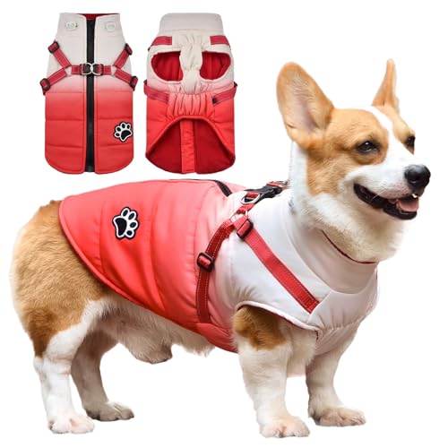 Savlot Wasserdicht Hundemantel Warme Fleece gefüttert Warme Winterjacke Hunde Bekleidung für Winter Reflektierend Welpen Winterweste (XXL, Rot) von Savlot