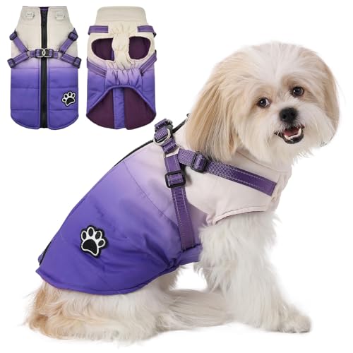 Savlot Kaltes Wetter Winter Warme Jacke für Kleine Mittlere Hunde Hundejacke Hundemantel mit Geschirr Hundemantel Grosse Hunde Mit Reißverschluss(S, Lila) von Savlot