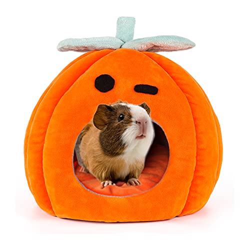 SBAYOOL Halloween Kürbis Meerschweinchen Bett, Niedlich Und Warmes Meerschweinchen Kuschelhöhle, Meerschweinchenhaus Mit Abnehmbarer Matte, Geeignet Für Igel Chinchillas 21×21×21cm von Sbayool