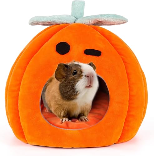 Sbayool Halloween-Kürbis-Meerschweinchen-Bett, warmes, beruhigendes Meerschweinchen-Versteck mit beweglichem Pad für Igel, Chinchillas und andere Kleintiere (21,6 x 21,6 x 22,6 cm) von Sbayool