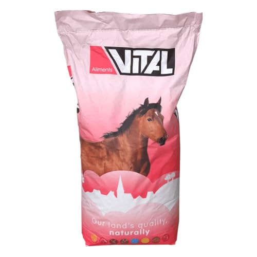 Scar Pferdefutter 20 kg Vital Horse Manege Müsli Vollkorn Melassiert Mineralien von Scar