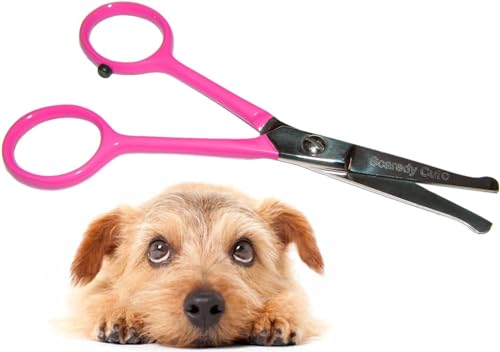 SCAREDY CUT Kleine Fellpflege-Schere Tiny Trim mit runden Spitzen für Haustiere – 11,4 cm, pink, für Ohr, Nase, Gesicht, Pfote – für Katzen, Hunde, Haustiere von Scaredy Cut