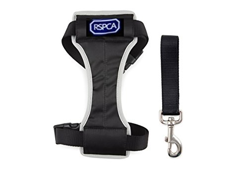 Scarpa RSPCA Haustiergeschirr fürs Auto, Größe S, 36-59 cm von Scarpa