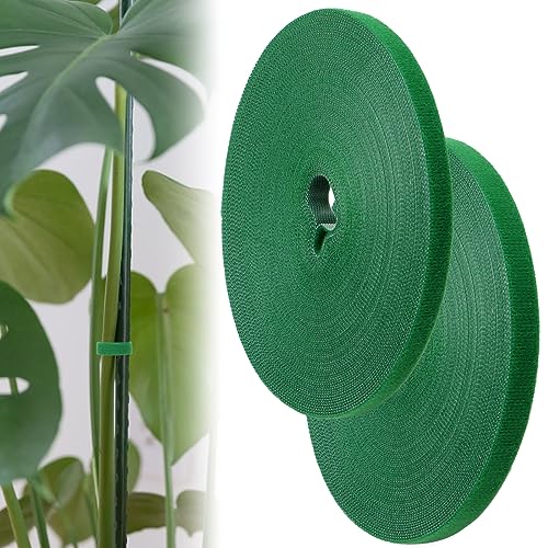 Scettar 2 Stück Pflanzenbinder，10mm*20m+12mm*20m Klettverschluss Band，Wiederverschließbar Pflanzen Klettband Plant Ties Pflanzenband für Garten Pflanzen Grün von Scettar