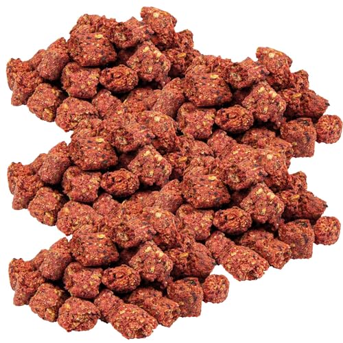 Schecker Hundesnack - Insect Knuspies 5 x 250g - Hundeleckerlie mit 30% Insektenprotein - getreidefrei - Glutenfrei - Hypoallergen von Schecker