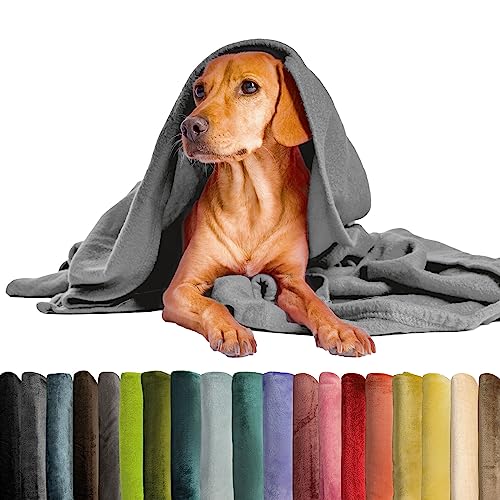 Schecker Mikrofaserdecke Premium - Hundedecke ohne Bestickung und ohne Motiv - Schecker Grün - 150 cm x 95 cm von Schecker