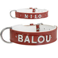 Schecker - MyName Leder-Halsband, rot [35 cm x 15 mm - ohne Buchstaben] von Schecker