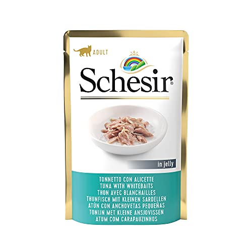 Schesir, Nassfutter für Erwachsene Katzen mit Geschmack Tonnetto mit Flügeln, zubereitet in weichem Gelee, insgesamt 1,7 kg (20 Beutel à 85 g) von Schesir