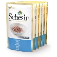 Schesir Adult 6x85g Thunfisch von Schesir