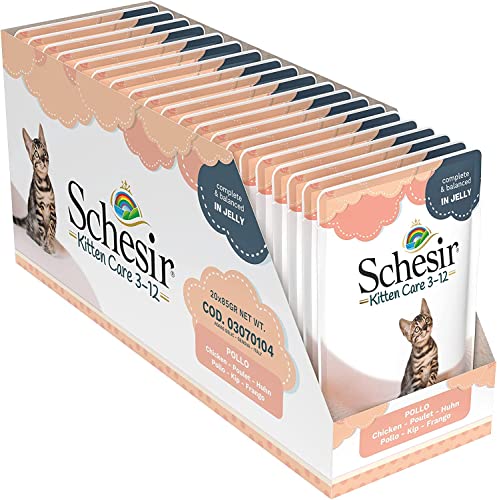 Schesir Cat Jelly Kitten Hühnerfilet, Katzenfutter nass für Kätzchen in Gelee, 20 Beutel x 85 g von Schesir