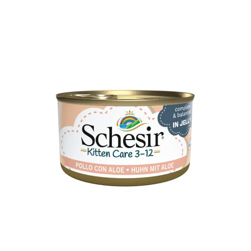 Schesir Cat Jelly Kitten Hühnerfilet mit Aloe Vera , Katzenfutter nass für Kätzchen in Gelee, 24 Dosen x 85 g von Schesir