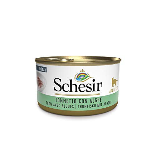 Schesir Cat Jelly Thunfisch mit Alge, Katzenfutter nass in Gelee, 24 Dosen x 85 g von Schesir