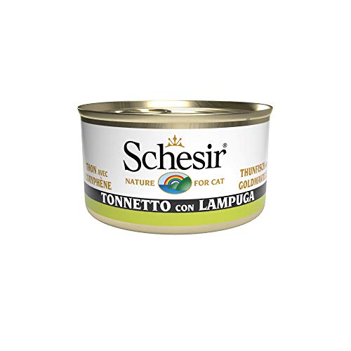 Schesir Cat Jelly Thunfisch mit Goldmakrele, Katzenfutter nass in Gelee, 24 Dosen x 85 g von Schesir