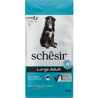 Schesir Dog Large Adult mit Fisch - 12 kg von Schesir