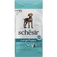 Schesir Dog Large Puppy mit Huhn - 12 kg von Schesir