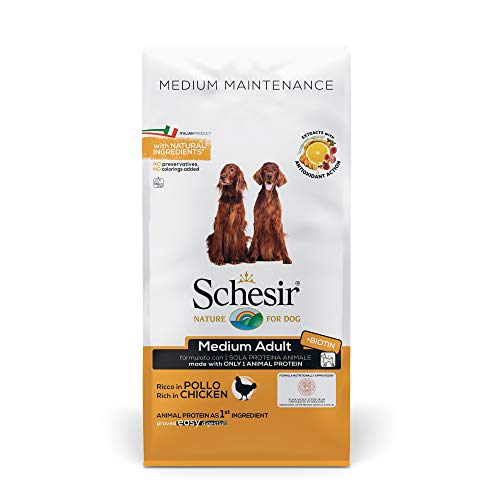 Schesir Dog Medium Maintenance Huhn, Hundefutter trocken für mittelgroßerRassen, Beutel, 12 kg von Schesir