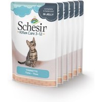 Schesir Kitten Thunfisch 6x85 g von Schesir