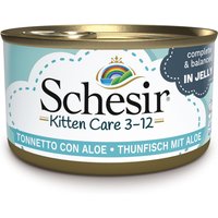 Schesir Kitten in Gelee 6 x 85 g - Thunfisch mit Aloe von Schesir