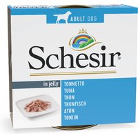 Sparpaket Schesir 12 x 150 g - Thunfisch von Schesir