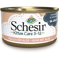 Sparpaket Schesir Kitten in Gelee 24 x 85 g - Huhn mit Aloe von Schesir