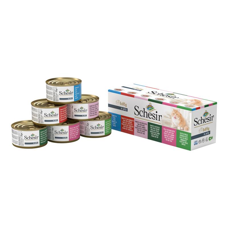 Sparpaket Schesir in Gelee 24 x 85 g - Mixpaket (6 Sorten) von Schesir