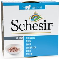 Sparpaket Schesir in Gelee 24 x 85 g - Thunfisch von Schesir