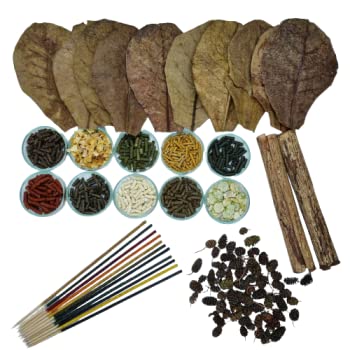 Schmitt Aquaristik Futter-Set für Garnelen und Krebse / Lollies Seemandelbaumblätter Seemandelbaumröhren Erlenzapfen von Schmitt Aquaristik