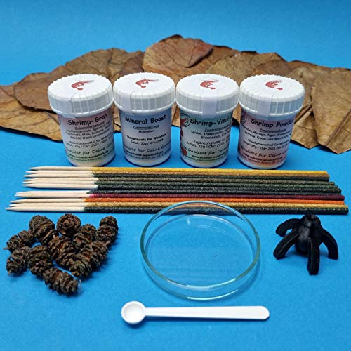 Garnelen Einsteiger Set (Shrimp Lollies Futter Sticks Glasschale Erlenzapfen Seemandelbaumblätter) von Schmitt Aquaristik