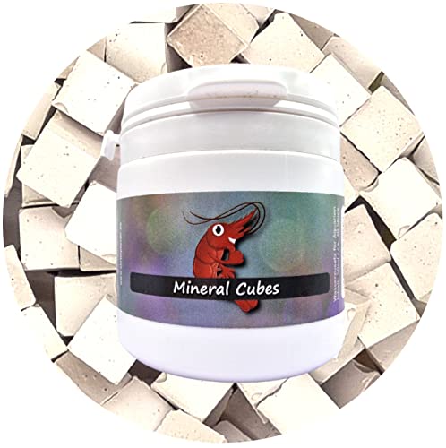 Mineral Cubes Mineral Boost / 120 Stück/Garnelen Aufbereiter Schnecken Züchterdose von Schmitt Aquaristik