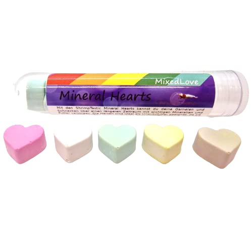 Schmitt Aquaristik Mineral Hearts Mixed Love - Garnelen & Schnecken Futter - 10 Stück - Mineralien Aufbereiter - Urlaubsfutter von Schmitt Aquaristik