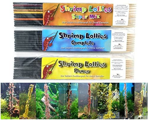 Shrimp Lollies Favoriten Set / 31 Lollies/Complete Super Mix Power Garnelen von Schmitt Aquaristik