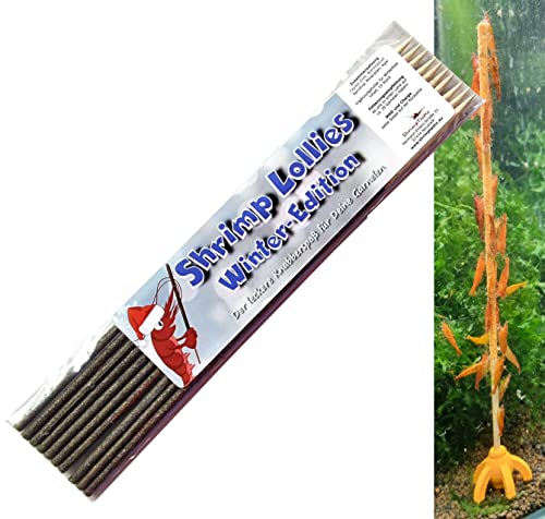 Schmitt Aquaristik Shrimp-Lollies Winter-Edition mit Zimt (10 Stück) Garnelen Lollies Futter Blütenpollen Sticks Futterstangen von Schmitt Aquaristik