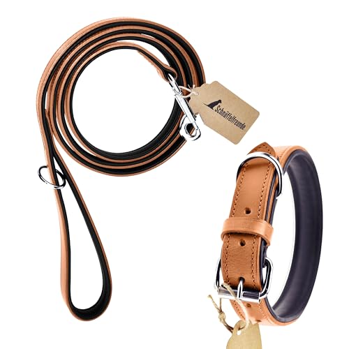 Schnüffelfreunde Hunde Halsband und Leine Set - aus Leder - handgenäht - Halsband Größe XL/Leine 230cm (Beige) von Schnüffelfreunde