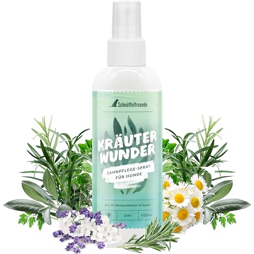 Schnüffelfreunde Kräuterwunder I Dental Spray für Hunde I Natürliche Zahnpflege gegen Mundgeruch I Bei Zahnstein, Plaque und Entzündungen I Aus 50 fermentierten Kräutern (150ml) von Schnüffelfreunde