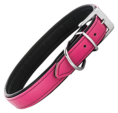 Schnüffelfreunde Lederhalsband Fun Line - Hundehalsband für den großen, mittleren und kleinen Hund - Halsband für Hunde aus Leder - gepolstert & robust (XL - 46-55cm, Pink-Schwarz) von Schnüffelfreunde