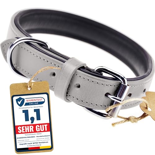 Schnüffelfreunde Halsband für Hunde aus Leder, Hundehalsband für den großen, mittleren und kleinen Hund, Lederhalsband gepolstert, robust (L - 36-45cm, Grau) von Schnüffelfreunde