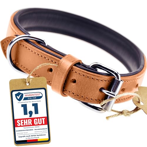 Schnüffelfreunde Halsband für Hunde aus Leder, Hundehalsband für den großen, mittleren und kleinen Hund, Lederhalsband gepolstert, robust (M - 28-36cm, Beige) von Schnüffelfreunde