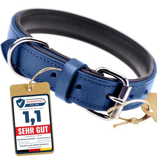 Schnüffelfreunde Halsband für Hunde aus Leder, Hundehalsband für den großen, mittleren und kleinen Hund, Lederhalsband gepolstert, robust (XXL - 55-65cm, Blau) von Schnüffelfreunde