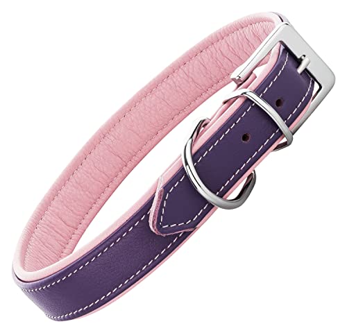 Schnüffelfreunde Lederhalsband Fun Line - Hundehalsband für den großen, mittleren und kleinen Hund - Halsband für Hunde aus Leder - gepolstert & robust (L - 36-45cm, Lila-Rosa) von Schnüffelfreunde