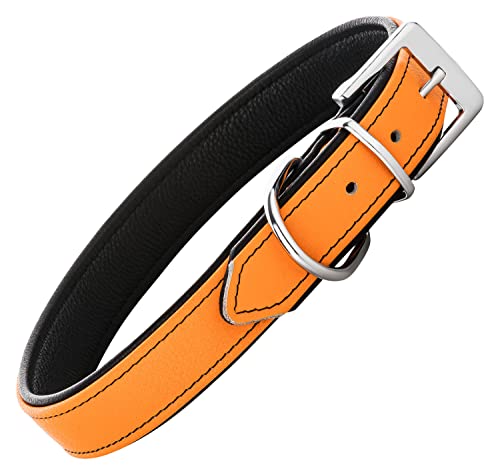 Schnüffelfreunde Lederhalsband Fun Line - Hundehalsband für den großen, mittleren und kleinen Hund - Halsband für Hunde aus Leder - gepolstert & robust (L - 36-45cm, Orange-Schwarz) von Schnüffelfreunde