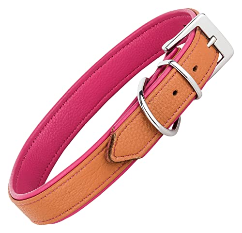 Schnüffelfreunde Lederhalsband Fun Line - Hundehalsband für den großen, mittleren und kleinen Hund - Halsband für Hunde aus Leder - gepolstert & robust (S - 24-30cm, Beige-Pink) von Schnüffelfreunde