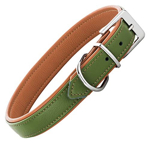 Schnüffelfreunde Lederhalsband Fun Line - Hundehalsband für den großen, mittleren und kleinen Hund - Halsband für Hunde aus Leder - gepolstert & robust (S - 24-30cm, Grün-Beige) von Schnüffelfreunde