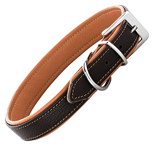 Schnüffelfreunde Lederhalsband Fun Line - Hundehalsband für den großen, mittleren und kleinen Hund - Halsband für Hunde aus Leder - gepolstert & robust (XL - 46-55cm, Braun-Beige) von Schnüffelfreunde