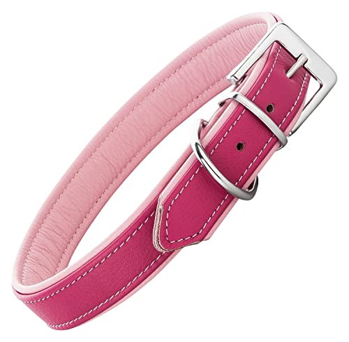 Schnüffelfreunde Lederhalsband Fun Line - Hundehalsband für den großen, mittleren und kleinen Hund - Halsband für Hunde aus Leder - gepolstert & robust (XL - 46-55cm, Pink-Rosa) von Schnüffelfreunde