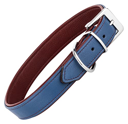 Schnüffelfreunde Lederhalsband Fun Line - Hundehalsband für den großen, mittleren und kleinen Hund - Halsband für Hunde aus Leder - gepolstert & robust (XXL - 55-65cm, Blau-Rot) von Schnüffelfreunde