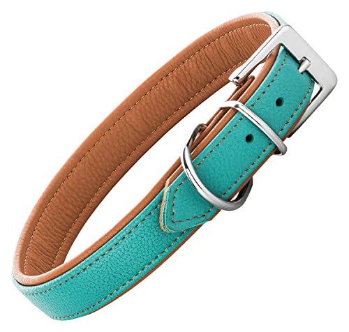 Schnüffelfreunde Lederhalsband Fun Line - Hundehalsband für den großen, mittleren und kleinen Hund - Halsband für Hunde aus Leder - gepolstert & robust (XXL - 55-65cm, Türkis-Braun) von Schnüffelfreunde